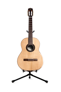Guitarra modelo c400