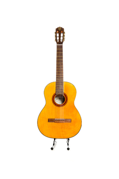 Guitarra modelo c180