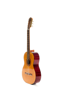 Guitarra modelo c180 - comprar online