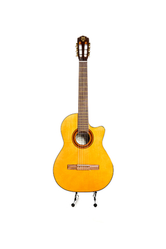Guitarra modelo c240