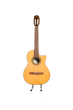 Guitarra modelo c250