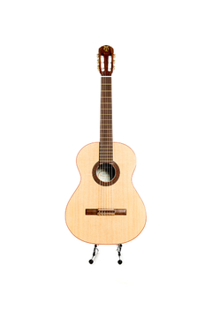Guitarra modelo z10