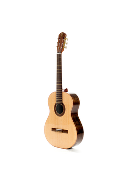 Guitarra modelo z10 - comprar online
