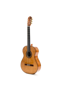 Guitarra modelo zc - comprar online