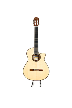 Guitarra modelo zc/cf