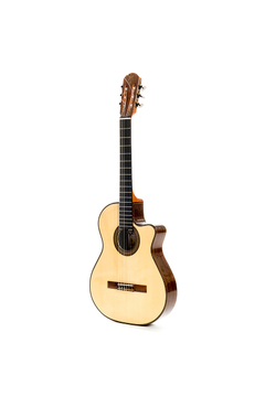 Guitarra modelo zc/cf - comprar online