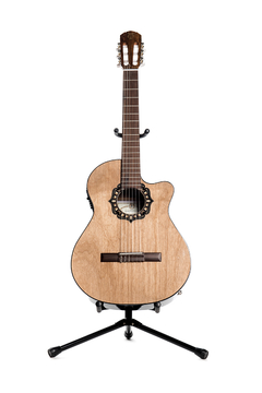 Guitarra modelo z39/c