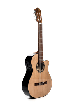 Guitarra modelo z39/c - comprar online