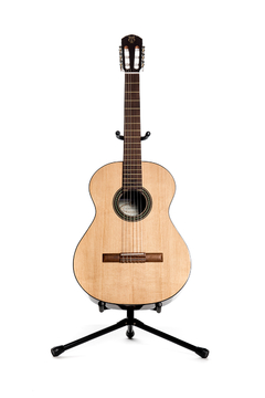 Guitarra modelo z9