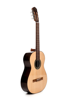 Guitarra modelo z9 - comprar online