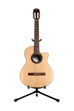 Guitarra modelo z9/c