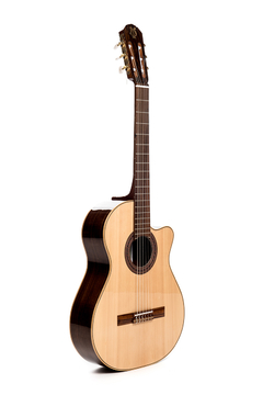 Guitarra modelo z9/c - comprar online