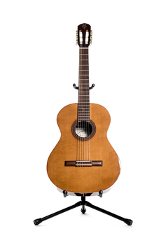 Guitarra modelo za1