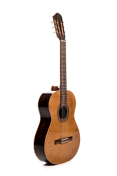 Guitarra modelo za1 - comprar online