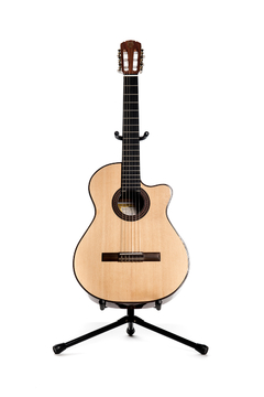 Guitarra modelo zc/c