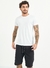 0350107768 CAMISETA BACK TO BASIC C/ ELASTANO COLCCI - comprar online