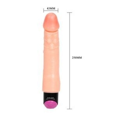 VIBRADOR PROTESE PÊNIS SUMMER NIGHT BAILE na internet