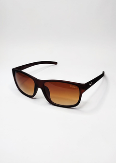 Oculos de sol Puma All Brown OPCT914