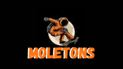 Banner da categoria MOLETONS