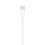 Cabo iPhone Lightning para USB na internet