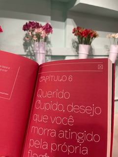 Livro Não se apega não - comprar online