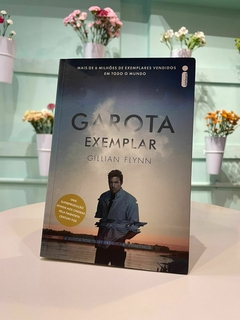 Livro Garota Exemplar