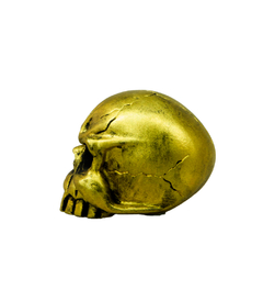 Borboleta para Estante de Prato Caveira Dourada (Golden Skull) 8mm Fêmea Headstyle