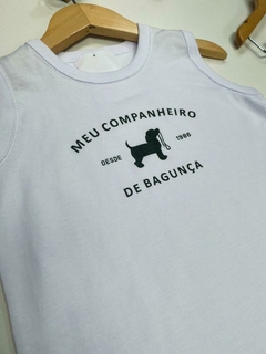 CONJUNTO COMPANHEIRO na internet