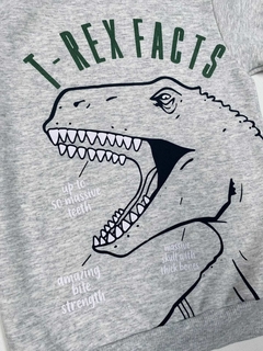 CONJUNTO DINO T-REX FACTS na internet