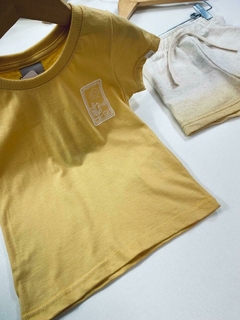 CONJ. CACTO AMARELO - comprar online