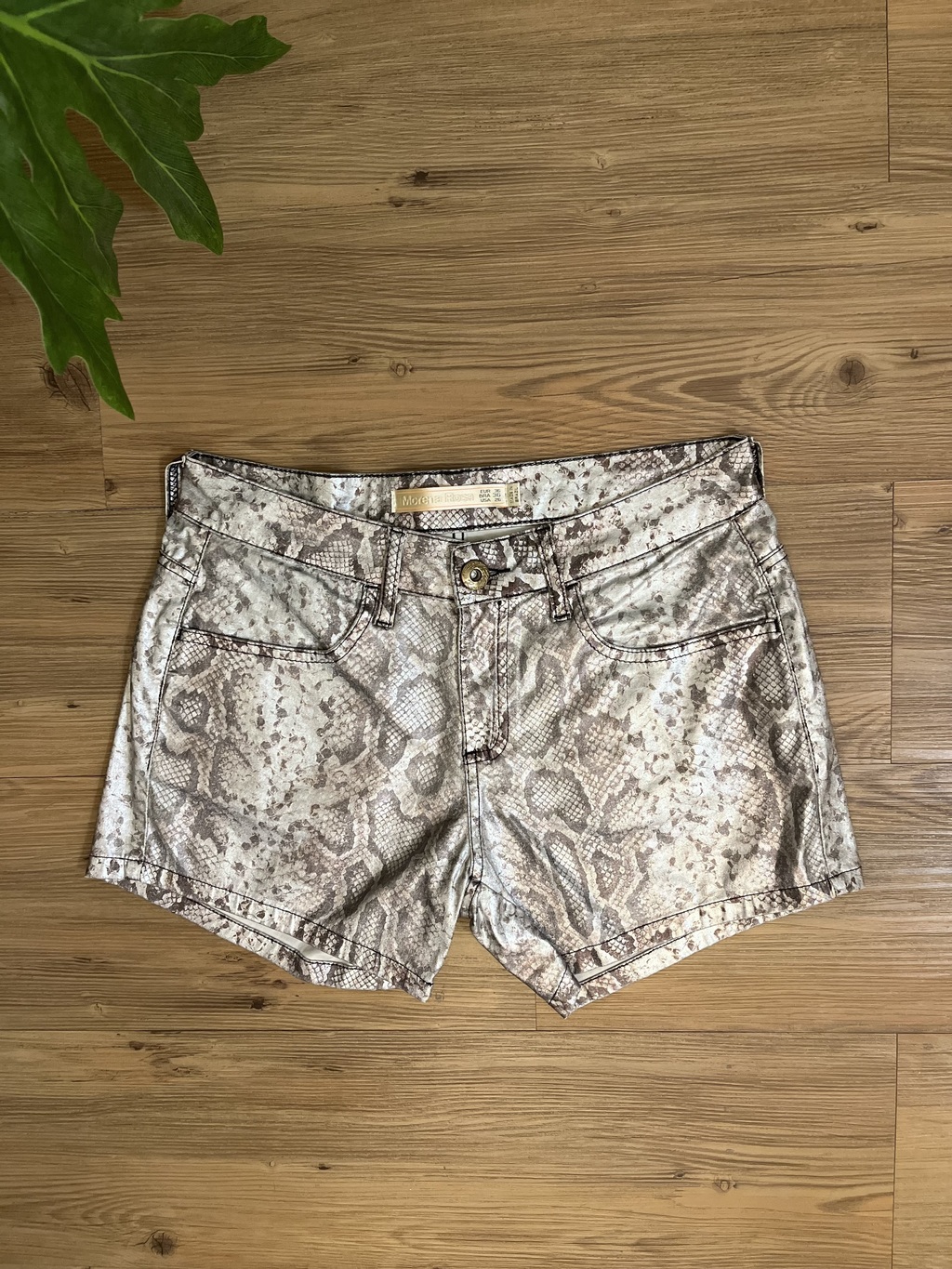 Short best sale morena rosa