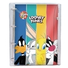 CADERNO ARGOLADO UNIVERSITARIO LOONEY TUNES