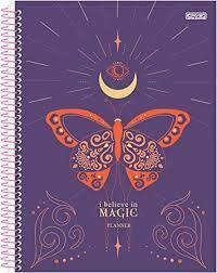 PLANNER I BELIVE IN MAGIC SAO DOMINGOS na internet