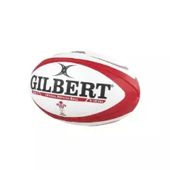 PELOTA REPLICA N°5 GILBERT en internet