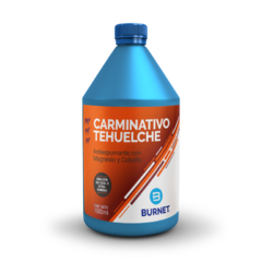 CARMINATIVO TEHUELCHE x 1Lt