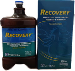 Recovery x 500ml