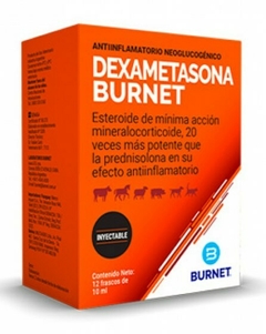 DEXAMETASONA BURNET Antiinflamatorio x 10Ml