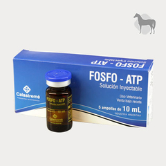 FOSFO - ATP Fósforo Ampolla x 10Ml