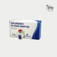 HIALURONATO DE SODIO HAMPTON X 2Ml