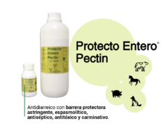 Protecto entero Pectin x 900ml
