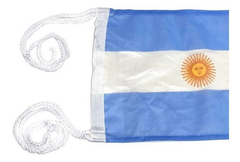 Bandera Argentina - comprar online
