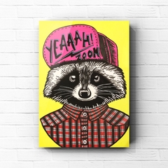 Rocky Raccoon