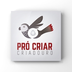 Pró Criar