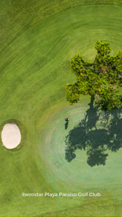 Abierto de Tropicos Golf en Riviera Maya - comprar online