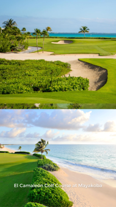 Abierto de Tropicos Golf en Riviera Maya - tienda online