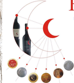 Vino de Autor Luna Roja Bonarda por seis botellas - comprar online