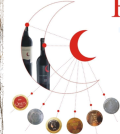 Vino de Autor Luna Roja Syrah Roble seis botellas - comprar online
