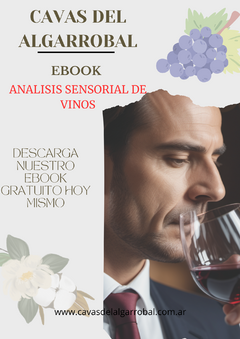 Ebook Analisis sensorial de vinos