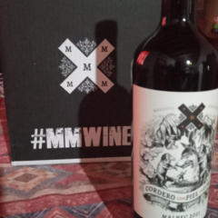 Vino tinto Malbec Cordero con piel de lobo caja de seis botellas - comprar online