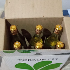 Espumante Torrontes Dulce Rimé caja 6 botellas en internet